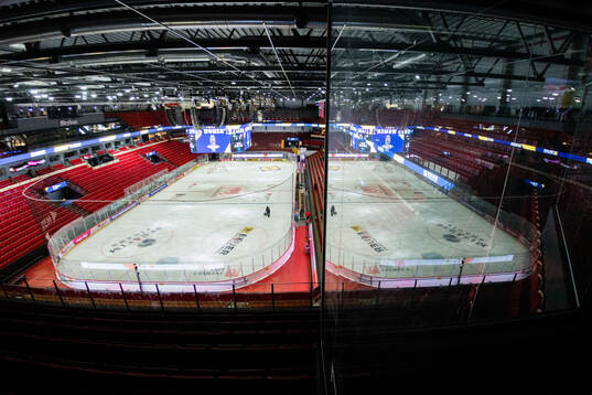 Monitor ERP Arena