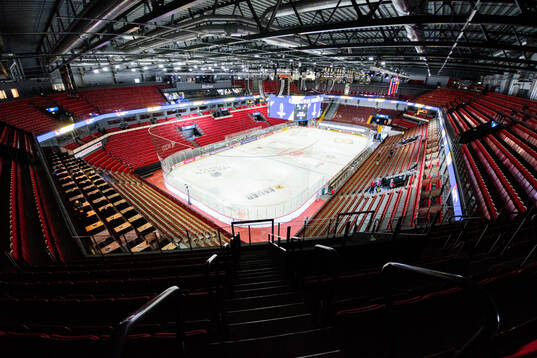 Monitor ERP Arena