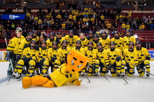 Players of Sweden
