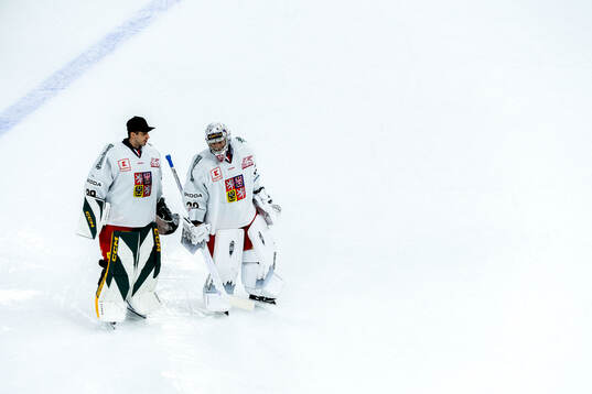 Goaltender Dominik Pavlat and goaltender Josef Korenar of