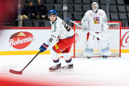 Tomas Cibulka of Czech Republic