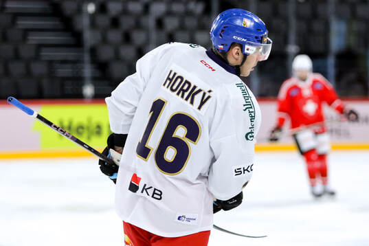Lubos Horky of Czech Republic
