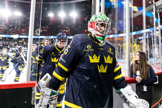 Goalkeeper Arvid Holm of Sweden looks dejected