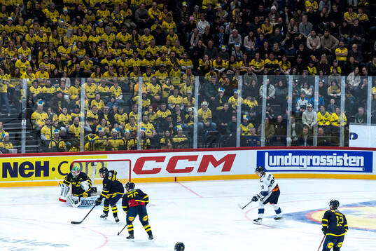 Players of Sweden and Finland