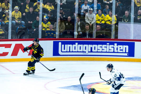 Players of Sweden and Finland