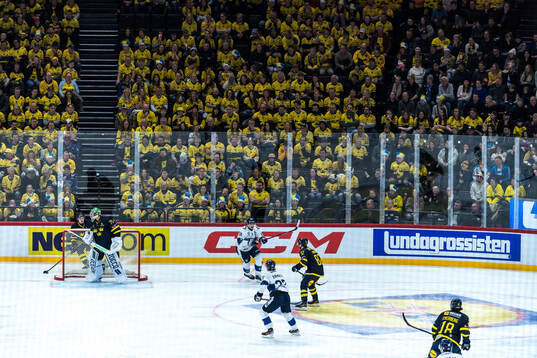Players of Sweden and Finland