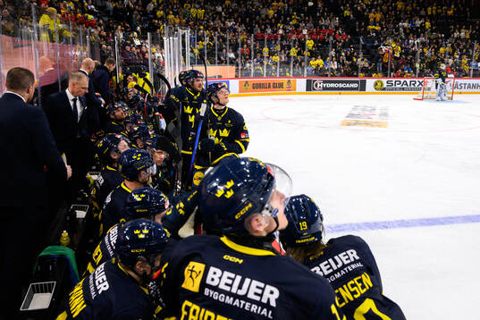 Players of Sweden