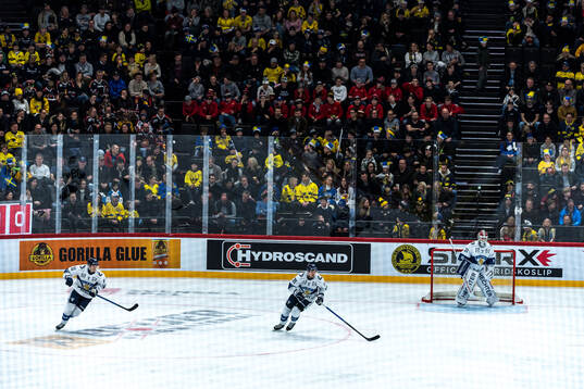 Players of Sweden and Finland