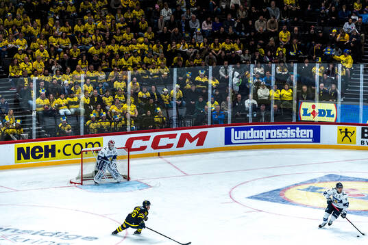 Players of Sweden and Finland