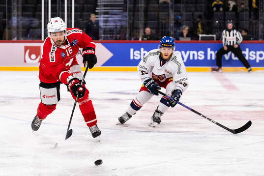 David Aebischer of Switzerland and Oscar Flynn of Czech
