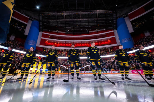 Players of Sweden