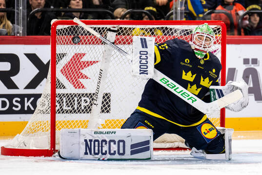 Matias Mäntykivi of Finland (not in picture) scores the