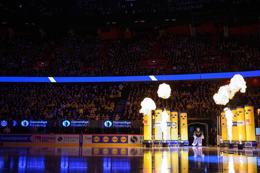 Players of Sweden