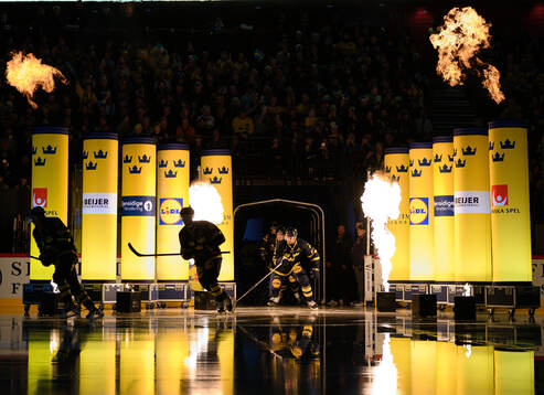 Players of Sweden