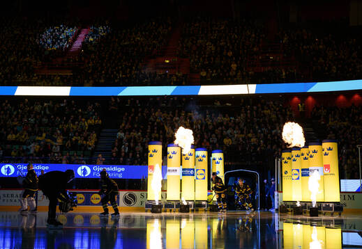 Players of Sweden