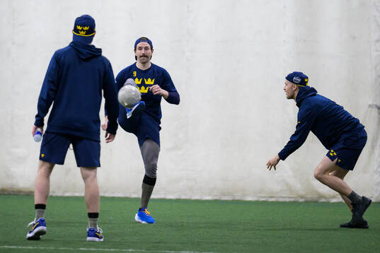 Filip Forsberg and Elias Pettersson of Sweden playing