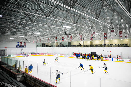 Players of Sweden at a practice session