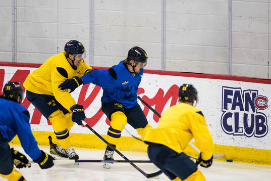 Joel Eriksson Ek and William Nylander of Sweden at a