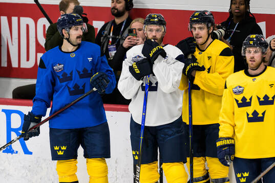 Filip Forsberg, Mattias Ekholm, Leo Carlsson and Elias