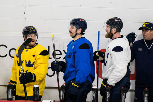 Viktor Arvidsson, Filip Forsberg and Mattias Ekholm of