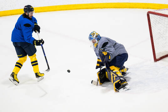 Mika Zibanejad and goaltender Linus Ullmark of Sweden at a