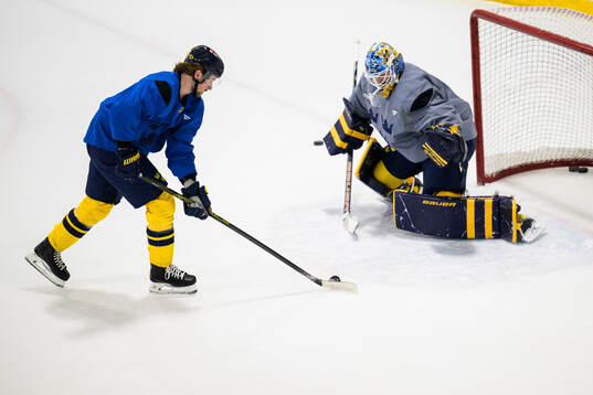 Adrian Kempe and goaltender Linus Ullmark of Sweden at a