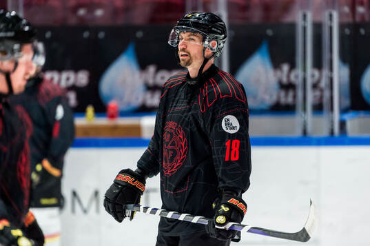 Brynäs Anton Rödin
