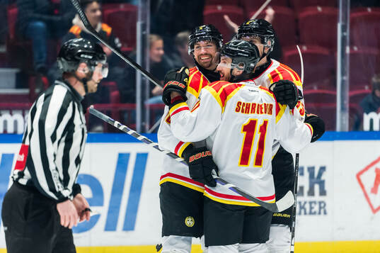 Brynäs Johan Larsson jublar