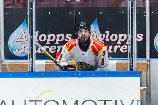 Brynäs Bobby Trivigno