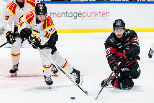 Brynäs Linus Ölund och Malmö Redhawks Linus Öberg