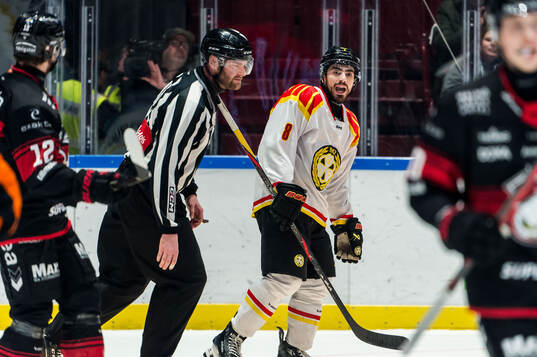 Brynäs Bobby Trivigno