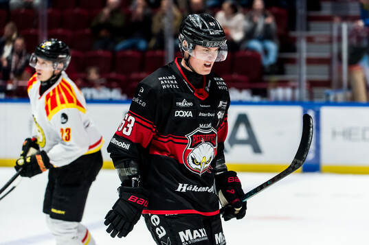 Malmö Redhawks Fredrik Händemark deppar