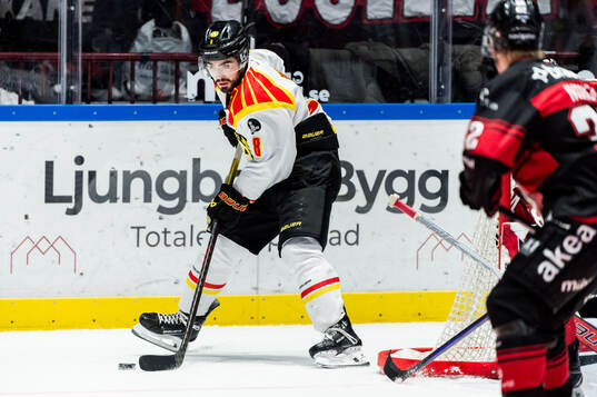Brynäs Bobby Trivigno