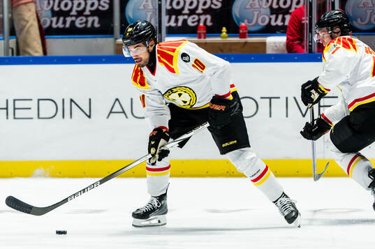 Brynäs Tyler Vesel