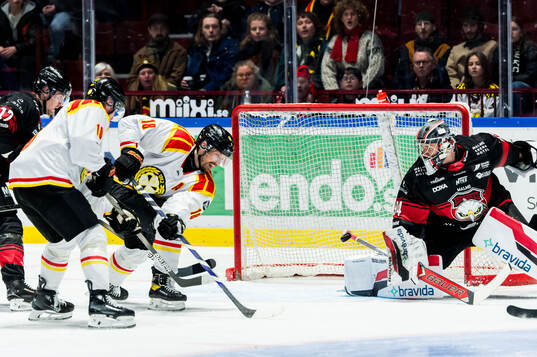 Brynäs Anton Rödin och Malmö Redhawks målvakt Marek