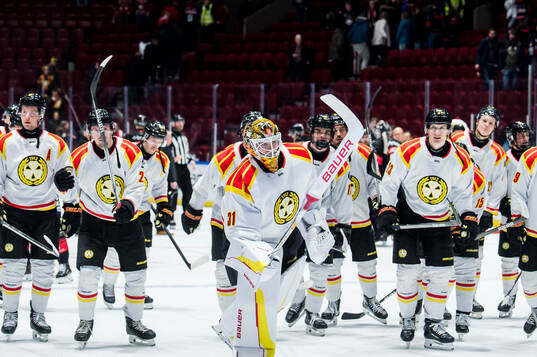 Brynäs målvakt Erik Källgren jublar