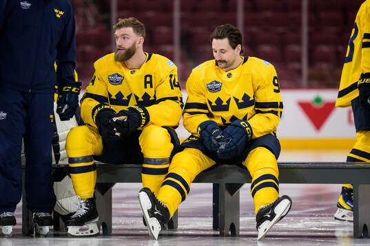 Mattias Ekholm and Filip Forsberg of Sweden