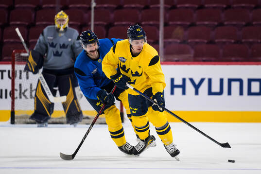 Filip Forsberg and Joel Eriksson Ek of Sweden at a practice