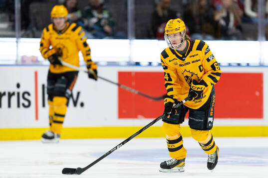 Skellefteås Jonathan Pudas
