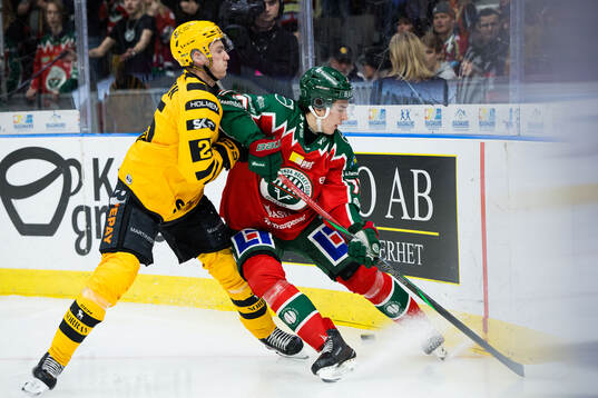 Skellefteås Pontus Johansson och Frölundas David Edstrom