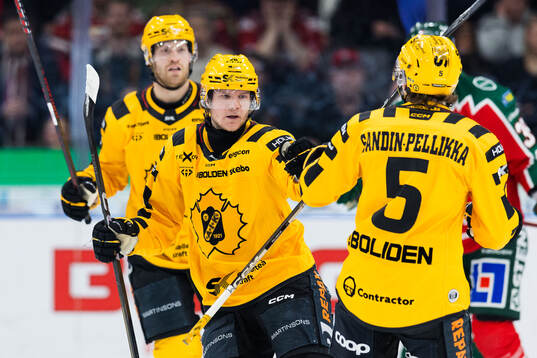 Skellefteås Anton Heikkinen jublar