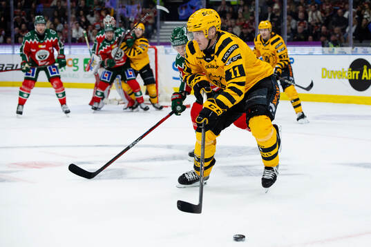 Skellefteås Max Lindholm