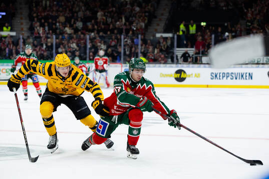 Skellefteås Rasmus Bergqvist och Frölundas Isac Born