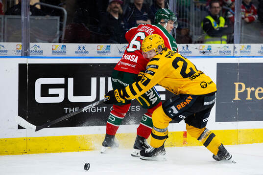 Frölundas Filip Hasa och Skellefteås Oskar Vuollet