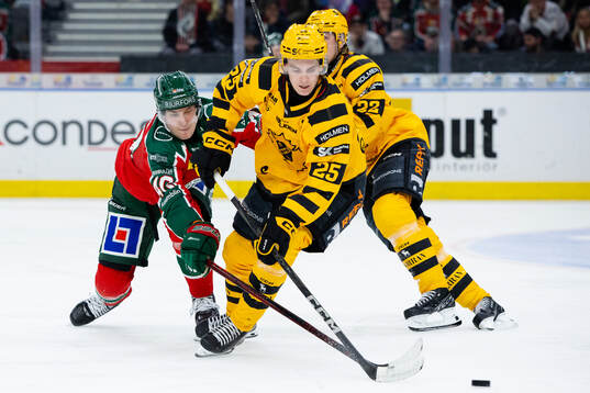Frölundas Jacob Peterson och Skellefteås Pontus Johansson