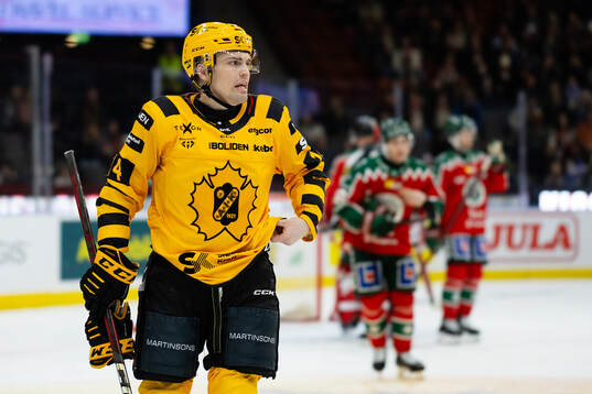 Skellefteås Andreas Johnson