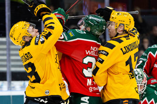 Skellefteås Michael Brandsegg-Nygård och Pär Lindholm