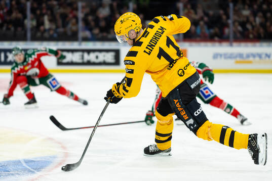 Skellefteås Max Lindholm