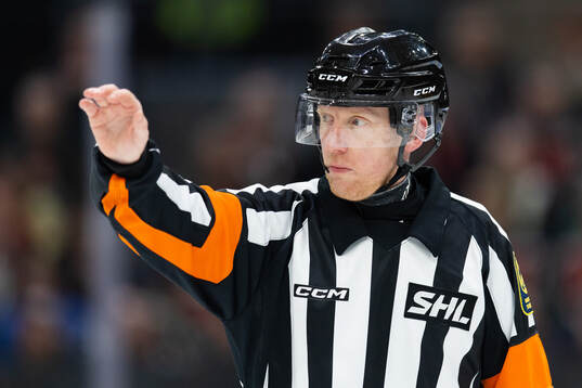 Domare Mikael Holm