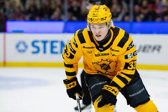 Skellefteås Zeb Forsfjäll